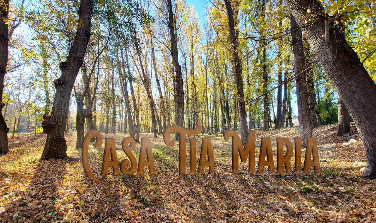 Casa Tia Maria Βίλα Navaluenga Εξωτερικό φωτογραφία
